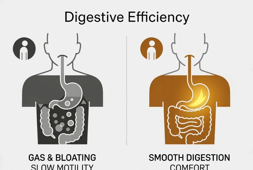Digestive Health Benefits of Prime Biome