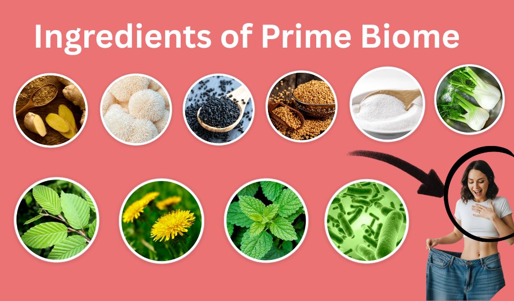 Ingredients of Prime Biome
